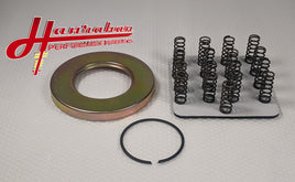 HPP-19250 – Aftermarket HD Powerglide Reverse Piston Return Spring Kit